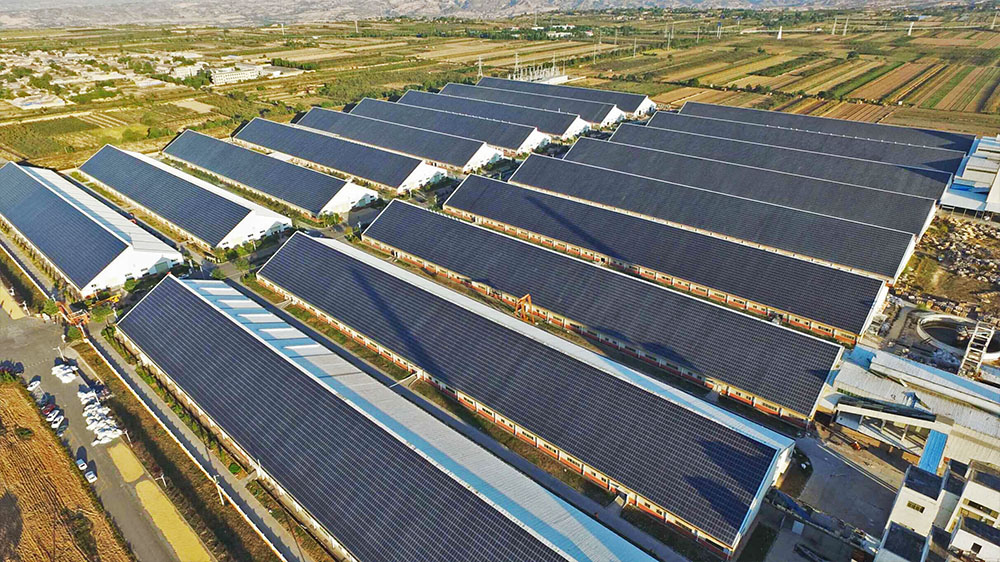 优惠活动办理大厅